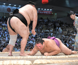 友風が右太もも肉離れで休場　１１日目の大奄美との一番で痛める