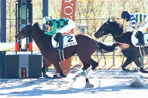 【京都３Ｒ・３歳新馬】１番人気のビービークローサーが完勝　坂井瑠星騎手「いい形で勝たせることができました」