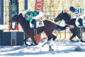 【京都３Ｒ・３歳新馬】１番人気のビービークローサーが完勝　坂井瑠星騎手「いい形で勝たせることができました」