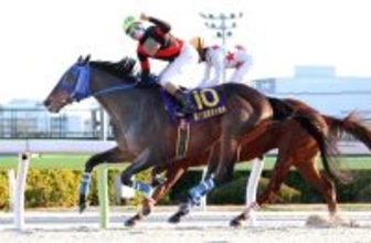 「大変光栄です」２０２５年ＮＡＲグランプリ年度代表馬は東京大賞典を制したディクテオンに決定