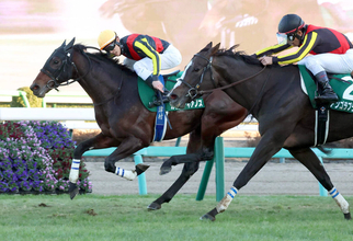 【注目馬動向】中山金杯勝ち馬のカラマティアノスは中山記念へ　引き続き津村明秀騎手を予定