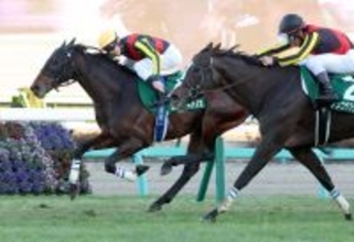 【注目馬動向】中山金杯勝ち馬のカラマティアノスは中山記念へ　引き続き津村明秀騎手を予定