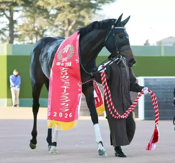 【注目馬動向】“強い４歳世代”アメリカＪＣＣで重賞２勝目のショウヘイ　引き続き川田将雅騎手で大阪杯へ　