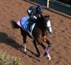 土曜阪神競馬場の注目激走馬…阪神１１Ｒ阪急杯・Ｇ３