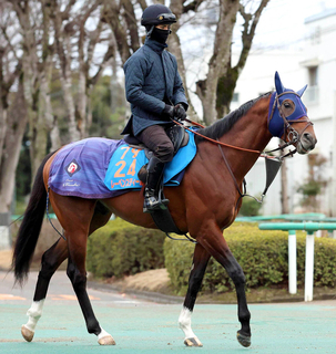 【中山記念】ルメール騎手とコンビ復活のチェルヴィニアは４枠６番　実績馬レーベンスティールは４枠５番