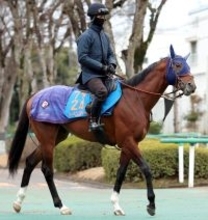 【中山記念】ルメール騎手とコンビ復活のチェルヴィニアは４枠６番　実績馬レーベンスティールは４枠５番