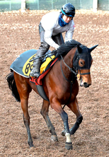 【注目馬動向】スリールミニョンは愛知杯で反撃へ　高橋康之調教師「中京では結果を出していますから」２戦２勝得意コース