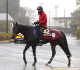 「【注目馬動向】ホープフルＳで１番人気７着のアンドゥーリルはチャーチルダウンズＣで始動」の画像1