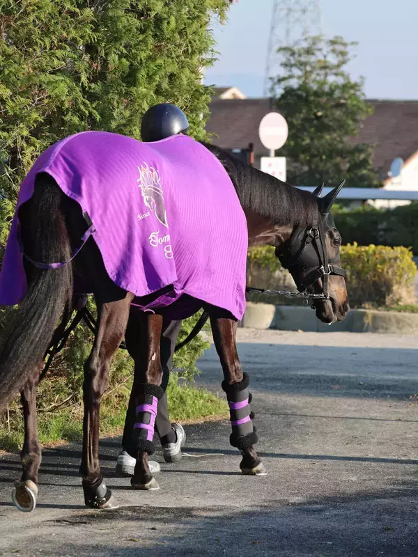 【忘れな草賞】重賞Ｖの兄テラに続け！　アドマイヤシュラは樫ロードへ勝負駆け　友道調教師「改めて、この距離で」