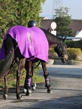 【忘れな草賞】重賞Ｖの兄テラに続け！　アドマイヤシュラは樫ロードへ勝負駆け　友道調教師「改めて、この距離で」