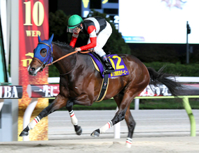 【東京ダービー】「僕の出身の大井で勝つことができて、とても感慨深く思っています」戸崎圭太騎手、強気の騎乗で逃走！フィンガー２冠