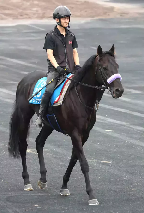 【札幌記念・１週前】マジックサンズは横山和生騎手騎乗でシャープな伸び　陣営「明らかに前回よりいい」