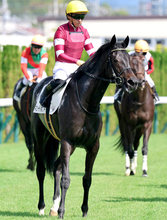 【注目馬動向】１・７億円馬キューティボンドはデイリー杯２歳Ｓを視野　兄ダノンベルーガ、姉ボンドガールの良血馬　僚馬ドラゴンバルドは京都２歳Ｓを視野