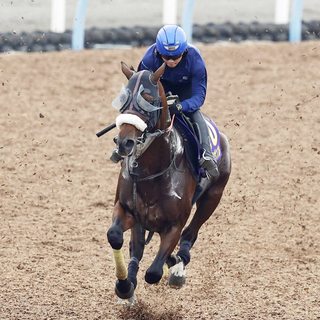 【菊花賞・金曜気配】すみれＳ覇者のラージアンサンブルは雨予報を歓迎　武井調教師「チャンスはあるかなと思います」