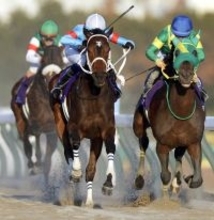 【チャンピオンズＣ】ウィルソンテソーロ約９センチ差届かず…３年連続２着　高木調教師「力を示してくれました」