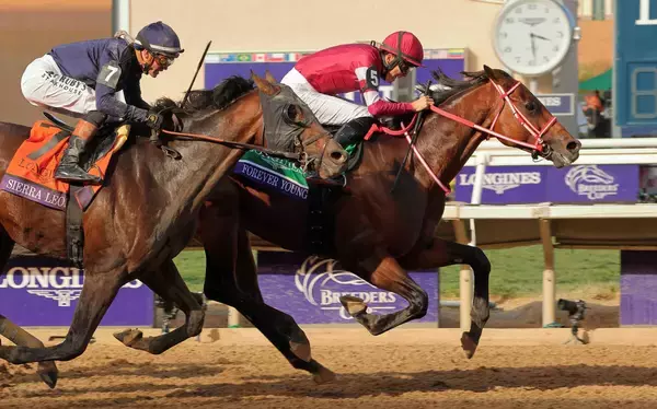 関西競馬記者クラブ賞にフォーエバーヤング　世界のビッグレースに複数勝利し多くの競馬ファンを感動させた功績たたえ