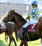 「【注目馬動向・古馬】阪神Ｃ３着のフォーチュンタイムは武豊騎手との新コンビで阪急杯　シェイクユアハートは京都記念」の画像1