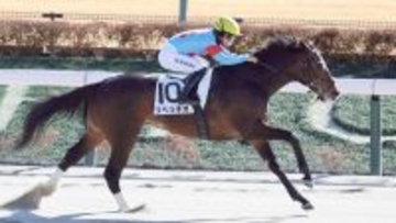 【東京７Ｒ・３歳１勝クラス】リベッチオが鮮やかに逃げ切って連勝　杉山晴調教師「力通りの完勝」