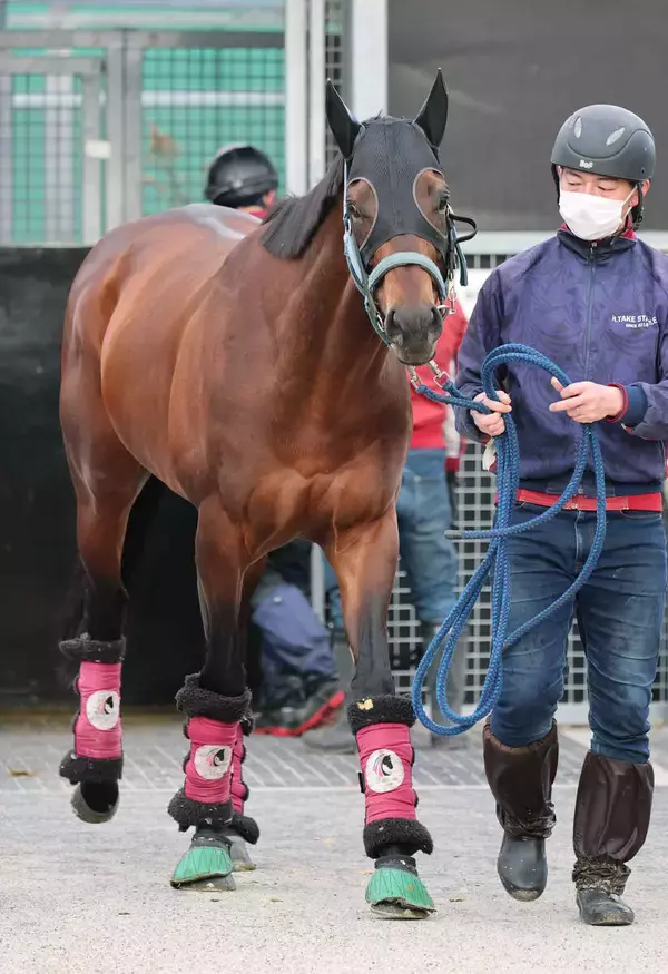 【注目馬動向・古馬】シルクロードＳ８着のエーティーマクフィは高松宮記念へ直行