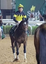 【１３５１ターフスプリント】３頭出しの日本勢最先着はパンジャタワーの５着　モレイラ騎手「距離が短かった」