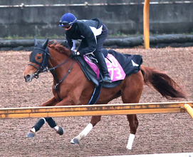 【報知杯ＦＲ・１週前】エピッククイーンはしまい重点で順調　陣営「久々でも動ける態勢にある」