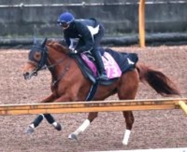 【報知杯ＦＲ・１週前】エピッククイーンはしまい重点で順調　陣営「久々でも動ける態勢にある」