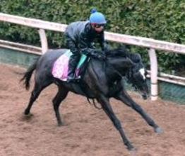 日曜阪神競馬場の注目激走馬…阪神１１Ｒチューリップ賞・Ｇ２