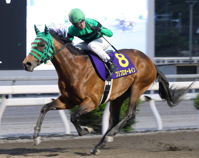 【二十四万石賞・高知】３冠馬対決でプリフロオールイン復活Ｖ　宮川実騎手「本当に頭が下がります」１年ぶりで連覇