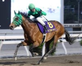 【二十四万石賞・高知】３冠馬対決でプリフロオールイン復活Ｖ　宮川実騎手「本当に頭が下がります」１年ぶりで連覇