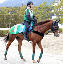 【注目馬動向】金鯱賞勝ち馬シェイクユアハートは宝塚記念でＧ１初挑戦　当初は札幌記念へ参戦予定も