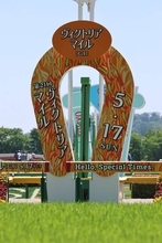 ヴィクトリアマイル当日の東京競馬場の芝はスピードが求められる傾向　レーン騎手「硬いは硬いが…」