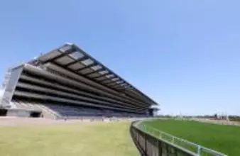 ヴィクトリアマイル当日の東京競馬場の芝はスピードが求められる傾向　レーン騎手「硬いは硬いが…」