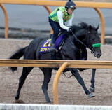 「【日本ダービー・日曜気配】皐月賞馬ロブチェンは前走と同様にＣＷコースでリズム重視　陣営「動きの質がいい」」の画像1