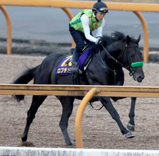 【日本ダービー・日曜気配】皐月賞馬ロブチェンは前走と同様にＣＷコースでリズム重視　陣営「動きの質がいい」