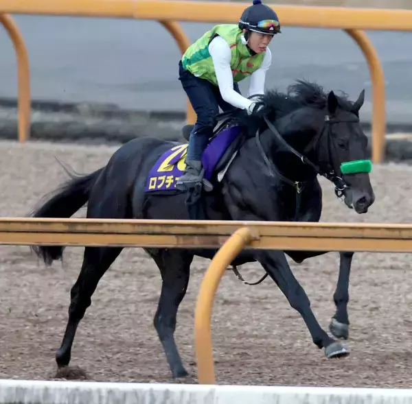 【日本ダービー・日曜気配】皐月賞馬ロブチェンは前走と同様にＣＷコースでリズム重視　陣営「動きの質がいい」