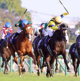 「カランダガンとマスカレードボールが昨年のジャパンＣ以来の再戦　英Ｇ１”キングジョージ”のＪＲＡ海外馬券発売が決定」の画像1