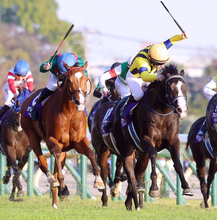 カランダガンとマスカレードボールが昨年のジャパンＣ以来の再戦　英Ｇ１”キングジョージ”のＪＲＡ海外馬券発売が決定