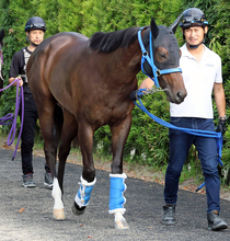 【ＰＯＧ】今村聖奈騎手のＸ動画で話題　新馬勝ちを狙えるツーハーツは「仕事を分かっている感じですね」