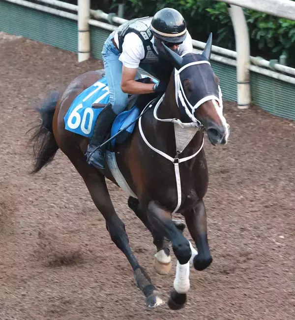 【東海Ｓ・土曜気配】前走完勝のベルジュロネットは坂路でパワフル　陣営「重賞でも楽しみの方が大きい」