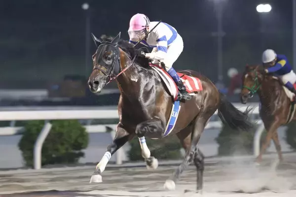 【高知競馬】コパノハンプトンが移籍後４連勝　赤岡修次騎手「最後までしっかり脚を使ってくれました」　高知７Ｒ・五台山特別