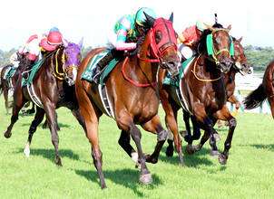 またまたＧ１馬が新潟記念にエントリー！相次ぐ有力馬の参戦に「札幌記念より豪華？」「数年後にはＧ２に」