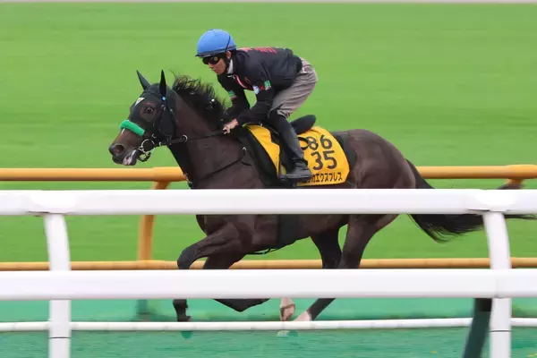 【クイーンＳ・金曜気配】武豊騎手騎乗のエリカエクスプレスは９番枠　陣営「追い切り後も落ち着いています」