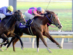 【有馬記念過去の名勝負】「失敗した」騎手も青ざめた絶望的な状況→鬼気迫る末脚で驚異の年間８戦８勝！怪物は日高出身