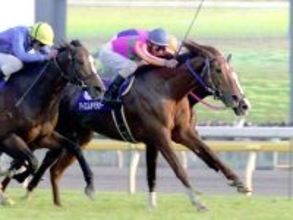 「失敗した」騎手も青ざめた絶望的な状況→鬼気迫る末脚で驚異の年間８戦８勝！怪物は日高出身…有馬記念過去の名勝負