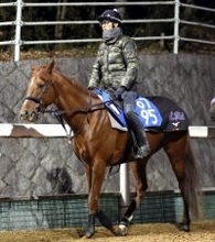 【京都金杯】素質馬ガイアメンテが帰ってきた重賞の舞台　陣営「最近は安定して走れるようになってきた」