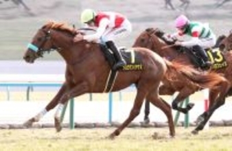 【京都９Ｒ・若駒Ｓ】ショウナンハヤナミが「出世レース」で無傷の２連勝　吉村誠之助騎手「いい内容だった」