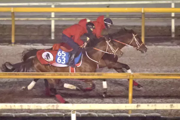 【サウジＣ】馬具変更で見えたフォーエバーヤングの成長の余地　国内最終追いで芝並みのラスト３ハロン３４秒６