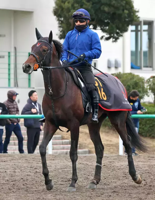 【報知杯弥生賞】皐月賞権利取りへ勝負気配漂うライヒスアドラー　共同通信杯から予定変更に上原佑調教師「延ばしてよかった」