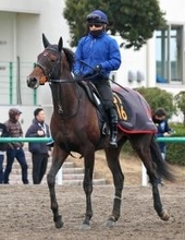 【報知杯弥生賞】皐月賞権利取りへ勝負気配漂うライヒスアドラー　共同通信杯から予定変更に上原佑調教師「延ばしてよかった」