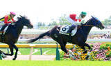 「【東京４Ｒ・３歳未勝利】セレクト１・９億円馬スワーヴマルスが２番手から押し切る　武豊騎手「乗り味がよく素質がありそう」」の画像1